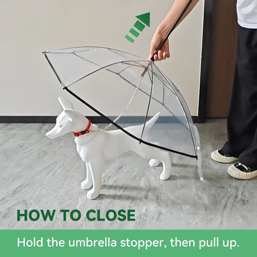 Multi functional pet leash transparent dog umbrella detachable rainy day dog walking umbrella leash small pet leash